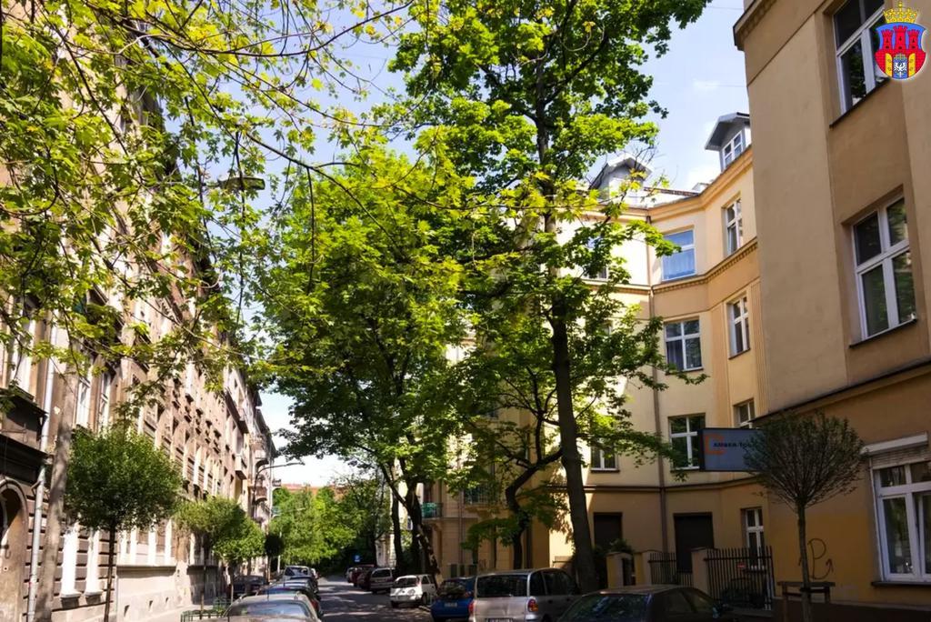 Live Like Locals: Market Square X Jewish District Krakow Phòng bức ảnh